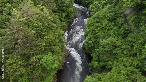 Aerial view of rushing river through dense green forest. Water rushes over rocks, creating white frothy waves. Surrounded by tall trees, the stream flows downward