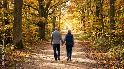 Back view of a couple holding hands while walking on a wooded autumn path.