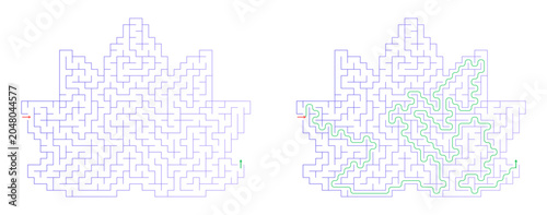 Lotus Flower Maze Challenge with Answer Path