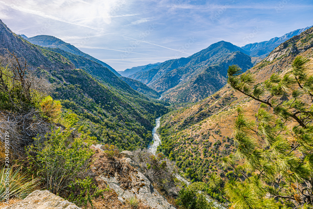 Obraz premium A high angle panoramic view of the Kings River flowing through a lush mountain valley gorge along Kings Canyon Scenic Byway, California.