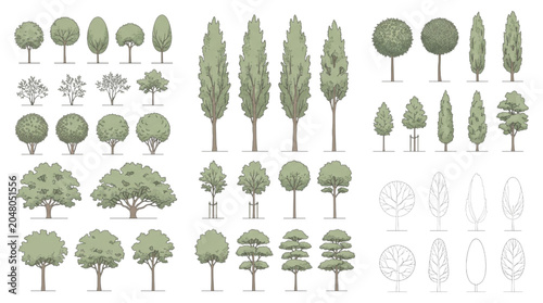 Cuadro en lienzo CAD-ready diverse tree collection for landscape architecture and architectural v