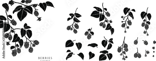 Blackberry Branch SVG Bundle | Botanical Raspberry Vector Icons. Wild Berry Silhouette Clipart | Garden Bramble Leaf Stencil Set