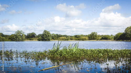 Tranquil Wetland Reflections at Arcot Pond in Cramlington’s Nature Reserve Landscape, Northumberland, May 2026