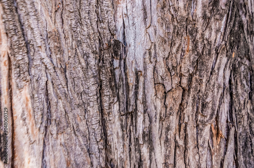 Bild auf Leinwand texture