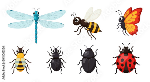 Foto Insects bugs dragonfly bee butterfly ladybug.