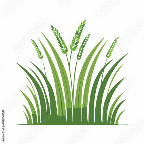 Green Grass and Wheat Stalks Illustration