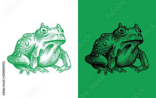 Fotografija Green earth horned frog Wizardry and witchcraft elements for magic rituals and spiritualism and halloween