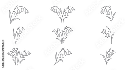 Bild auf Leinwand Nine delicate lily of the valley line art sketches.
