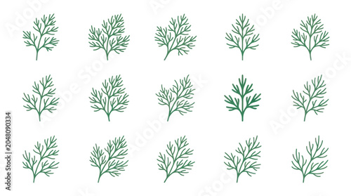 Photos Green feathery herb sprigs and leaf botanical collection.