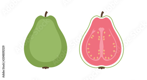 Obraz na plátně Whole and halved pink guava fruit vector illustration.