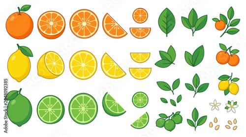Quadro su tela Citrus fruit set with oranges lemons limes and leaves