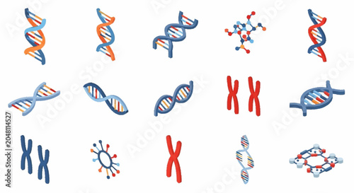 Bilde på lerret DNA helix and chromosome illustrations.