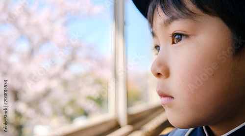 教室の窓から満開の桜を眺める新入生の男の子