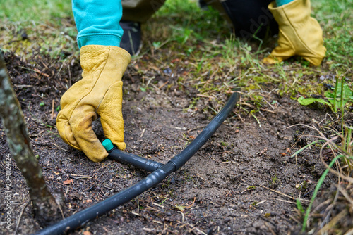 Photos Unrecognizable gardener wearing leather gloves inspects adjustable drip emitters