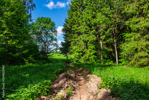 Φωτογραφία Firebreak trench carved through lush green grass, separating dense forest from o