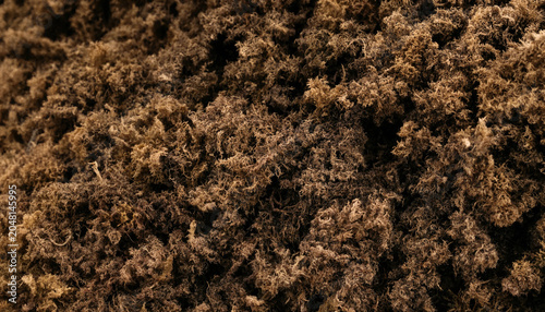 Quadro su tela A detailed macro close-up of dark brown, fibrous peat moss or soil showing a den