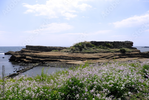 千葉県南房総のタタミ島