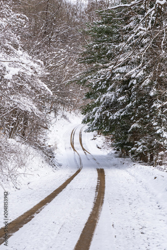 Tire tracks winding along a snow-covered rural dirt road through a quiet winter forest landscape in Warren County, Pennsylvania, USA