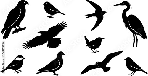 Foto Wild Bird Silhouette Collection Featuring Eagle Sparrow Swallow Heron Crow and S