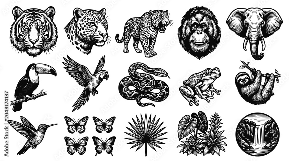 Fototapeta premium Black White Line Art Set of Tropical Animals and Nature Elements