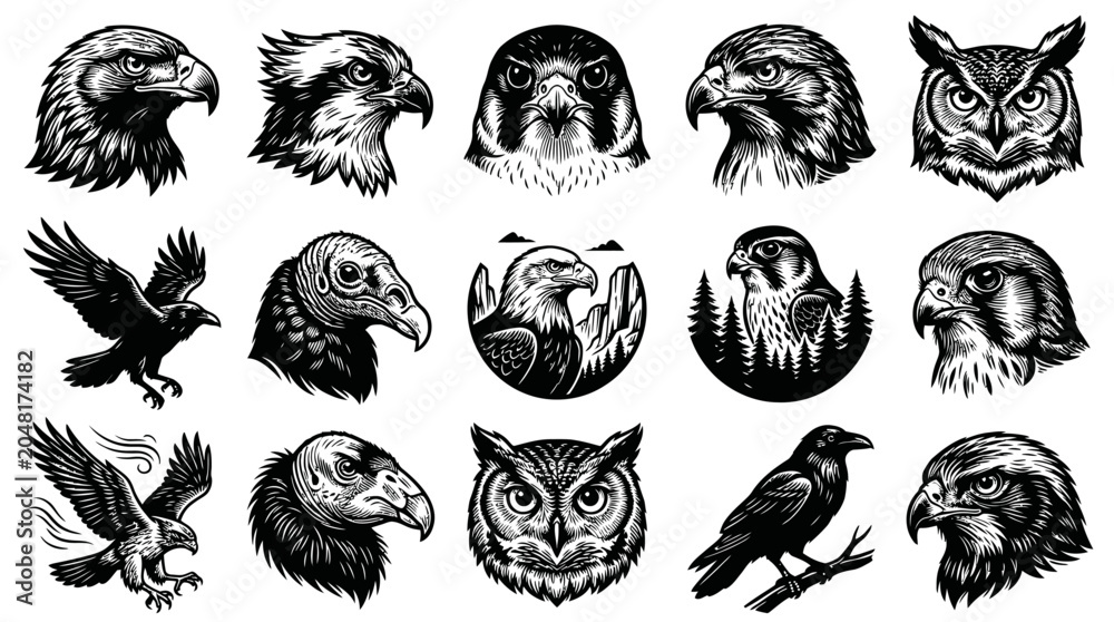 Obraz premium Black and White Vector Illustrations of Birds of Prey and Owls