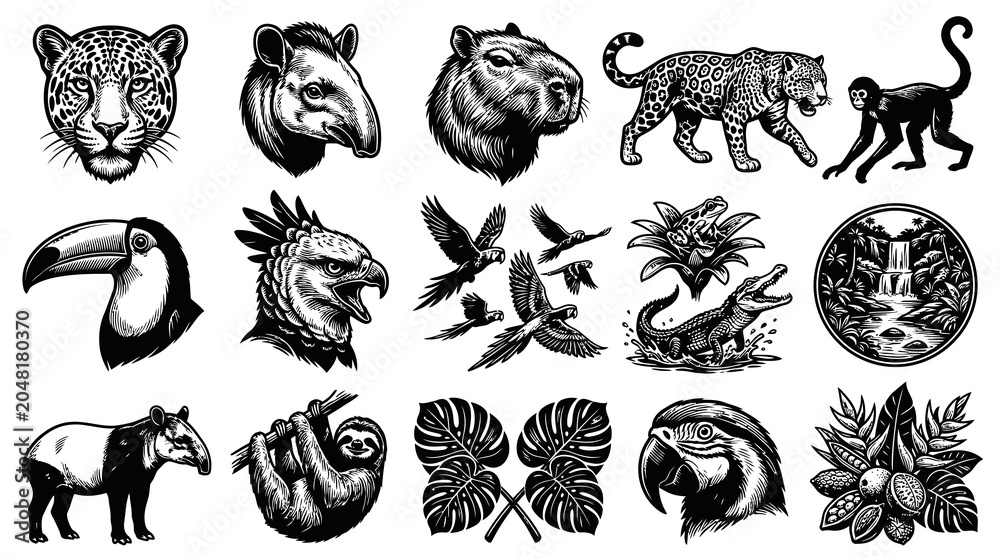 Fototapeta premium Amazon Rainforest Animals Vector Black and White Line Art Set