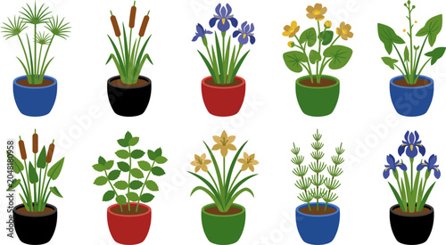 Schilderij op canvas Collection of colorful potted plants and flowers in various pots