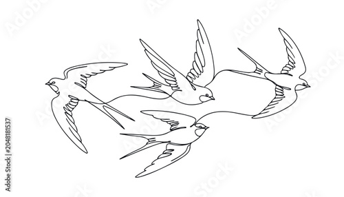 Konstfotografi Continuous Simple black line art drawing set of Swallows bird in a minimalist style on a white background
