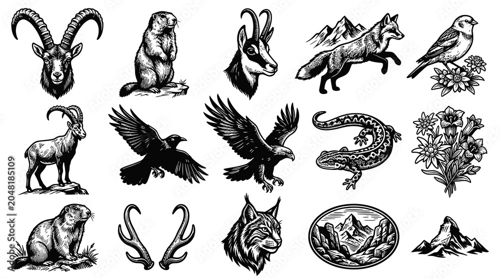 Obraz premium Black and White Alpine Wildlife and Mountain Nature Set. Vintage Detailed Line Art Illustration of Fauna Flora