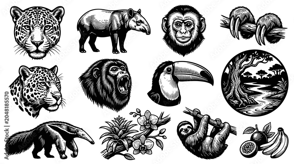 Fototapeta premium Tropical Rainforest Wildlife Engraving Set - Amazon Jungle Animals, Birds Flora Black and White Line Art