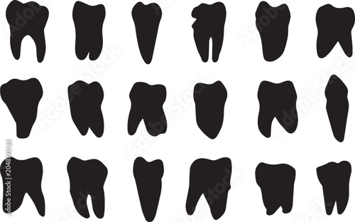 Foto Set of Human Tooth Silhouettes Vector Illustration Featuring Various Molar and P