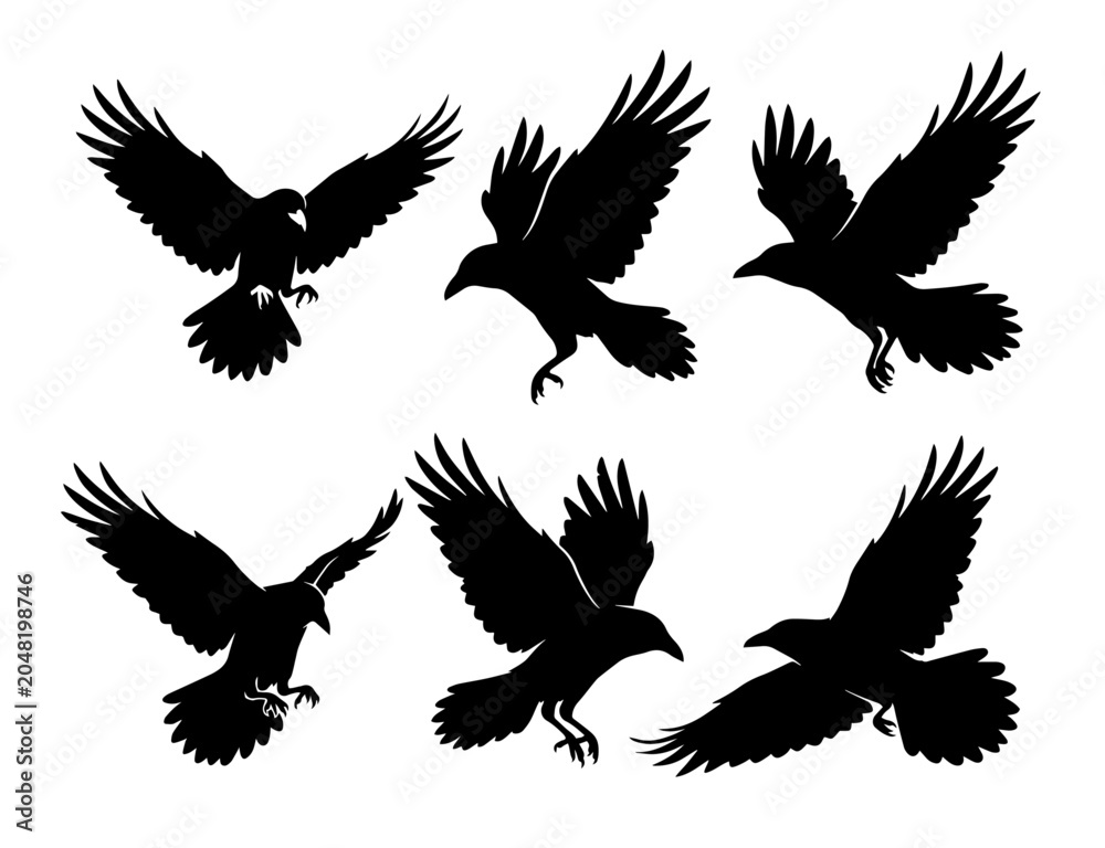 Obraz premium Raven silhouettes set . Vector flying crow icons.