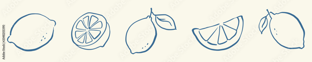 Εκτύπωση καμβά Hand drawn doodle rough sketch lemon set, loose ink drawn citrus fruit in various styles including whole, halved and sliced forms