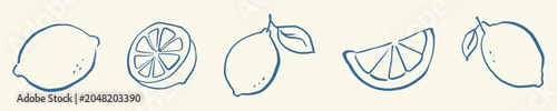 Fotografie Hand drawn doodle rough sketch lemon set, loose ink drawn citrus fruit in various styles including whole, halved and sliced forms