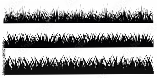 Foto Grass Blade Silhouettes On White Background Three Variations