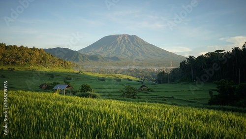 Foto mount spring