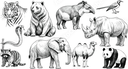 Photography Vintage Wild Animals Engraving Style Illustration Set with Elephant, Tiger, Rhin