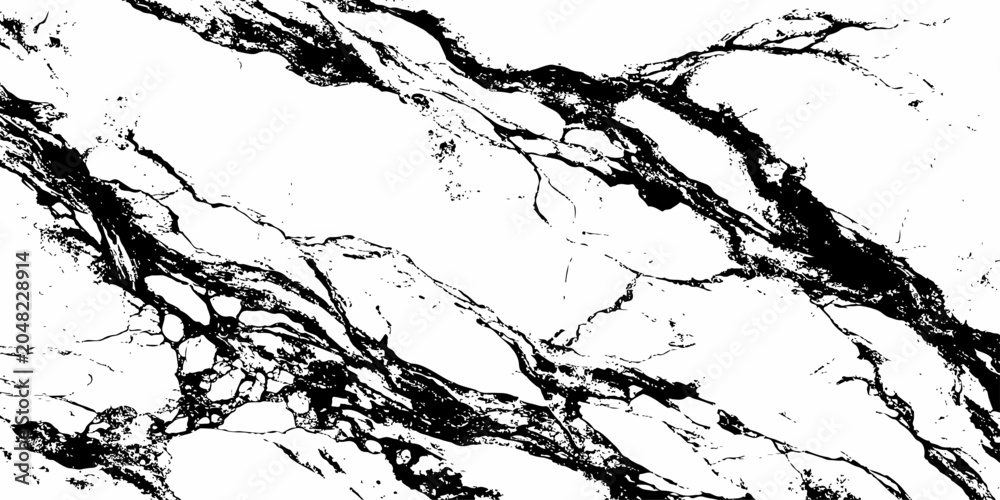 Fototapeta premium Premium White Marble Background with Rich Black Natural Veins and Luxury Stone Texture.