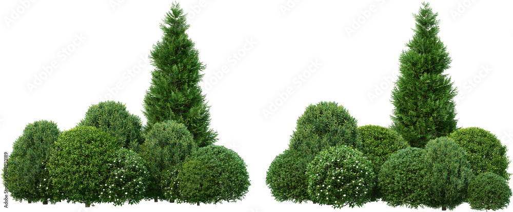 Fototapeta premium Pine garden decoration on a transparent background 