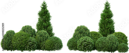 Pine garden decoration on a transparent background	
