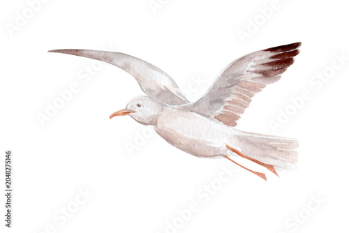 Flying seagull watercolor illustration soft neutral tones hand-painted texture. Coastal bird clipart isolated on white background, ideal for beach collections, nursery decor, seaside patterns designs