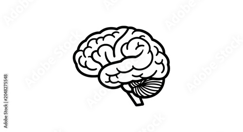 Bild auf Leinwand Anatomical human brain profile icon with cerebellum detail