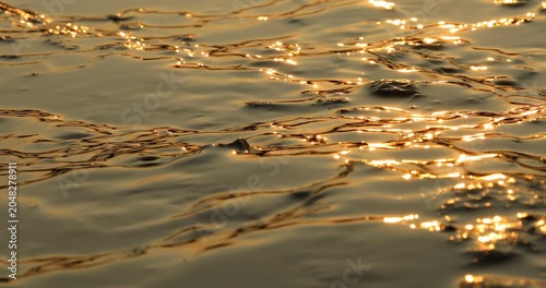 Raw Wet stone Texture closeup