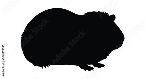 Foto Guinea pig silhouette against a white background silhouette