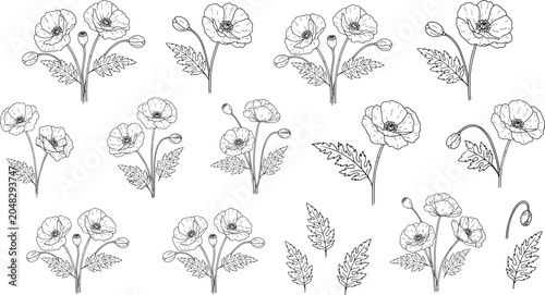 Hand-drawn sketch collection of poppy flowers and leaves, botanical black and white line art vector illustration for image_32fef5.jpg projects.