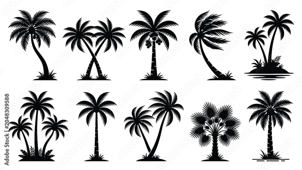 Fototapeta premium Silhouette collection of various palm trees on transparent background.