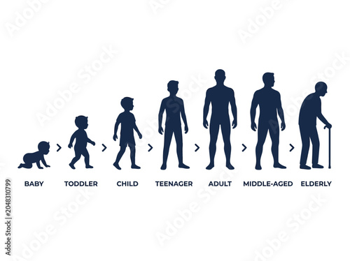 Foto Human life stages silhouettes showing male growth from infancy to old age on whi