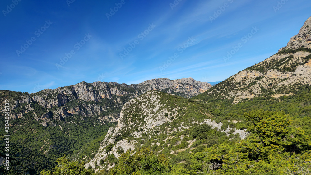 Fototapeta premium Verdon Gorge canyon forming deep steep cliffs, Alpes-de-Haute-Provence, France, Europe. Deep Gorges du Verdon canyon with rocky cliffs and green vegetation, Provence, France, Europe.