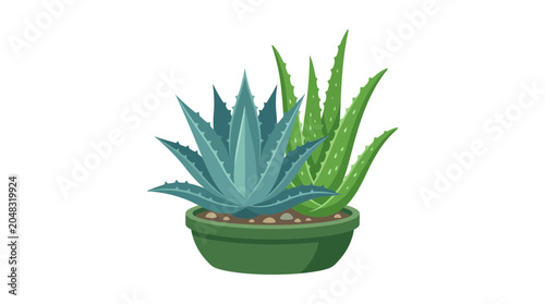 Bild auf Leinwand Green Aloe Vera Plant and Blue Agave in Pot, Succulent Illustration