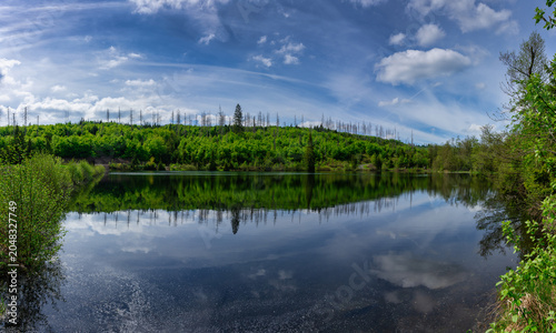 Polstertaler Teich im Oberharz